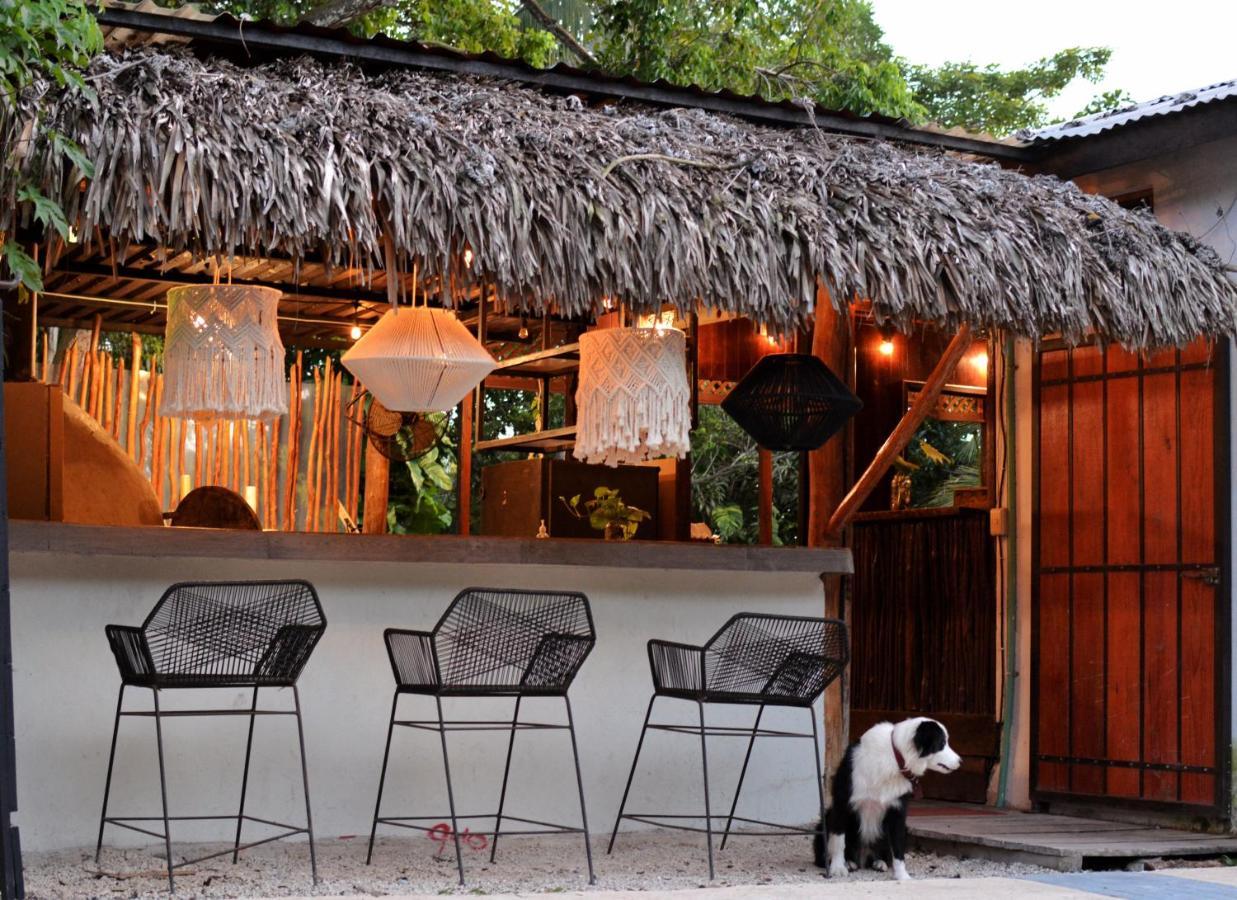 Tortuga Bacalar Bed and Breakfast Esterno foto