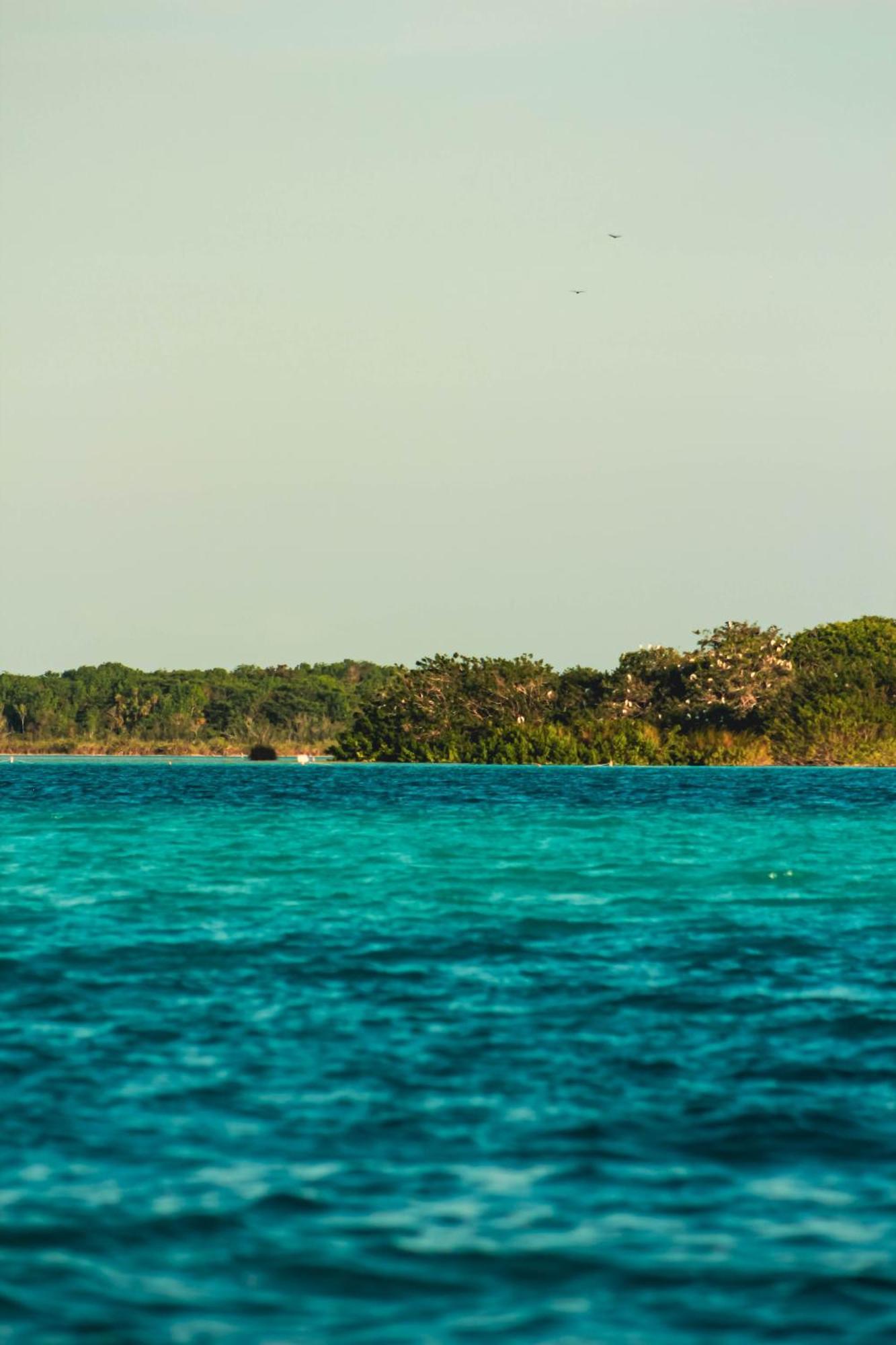 Tortuga Bacalar Bed and Breakfast Esterno foto