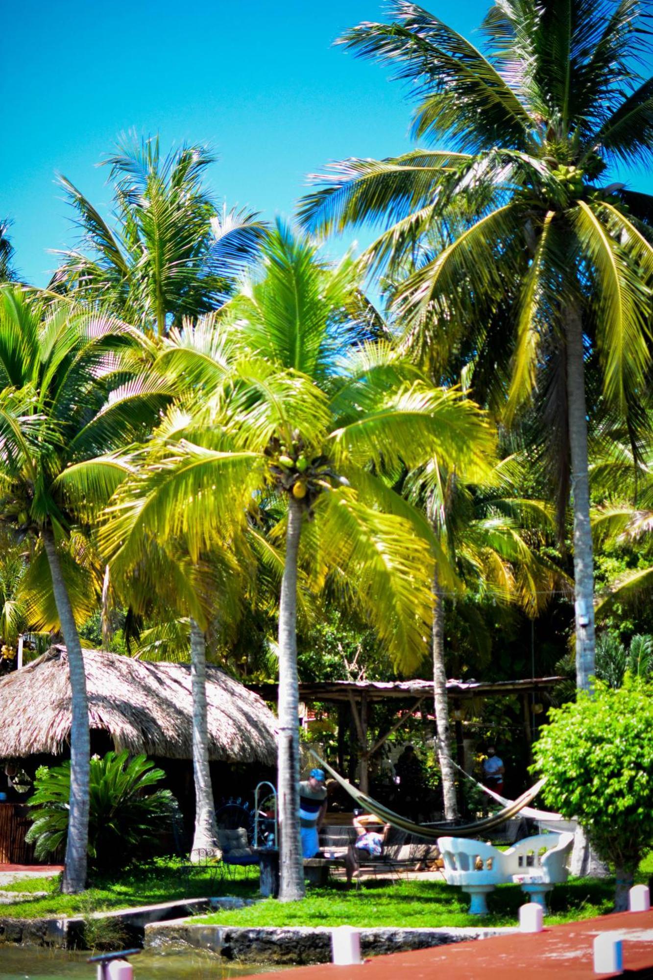 Tortuga Bacalar Bed and Breakfast Esterno foto